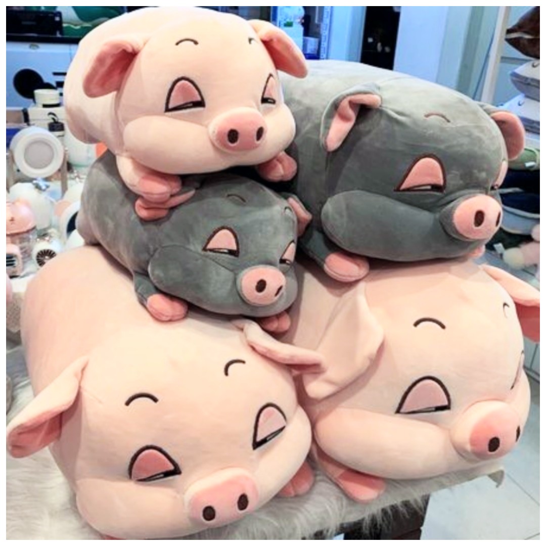 Gấu Bông Heo xám mắt híp full size - Màu Xám đáng yêu - Vừa ôm vừa gối làm quà tặng dễ thương cho bạn nữ