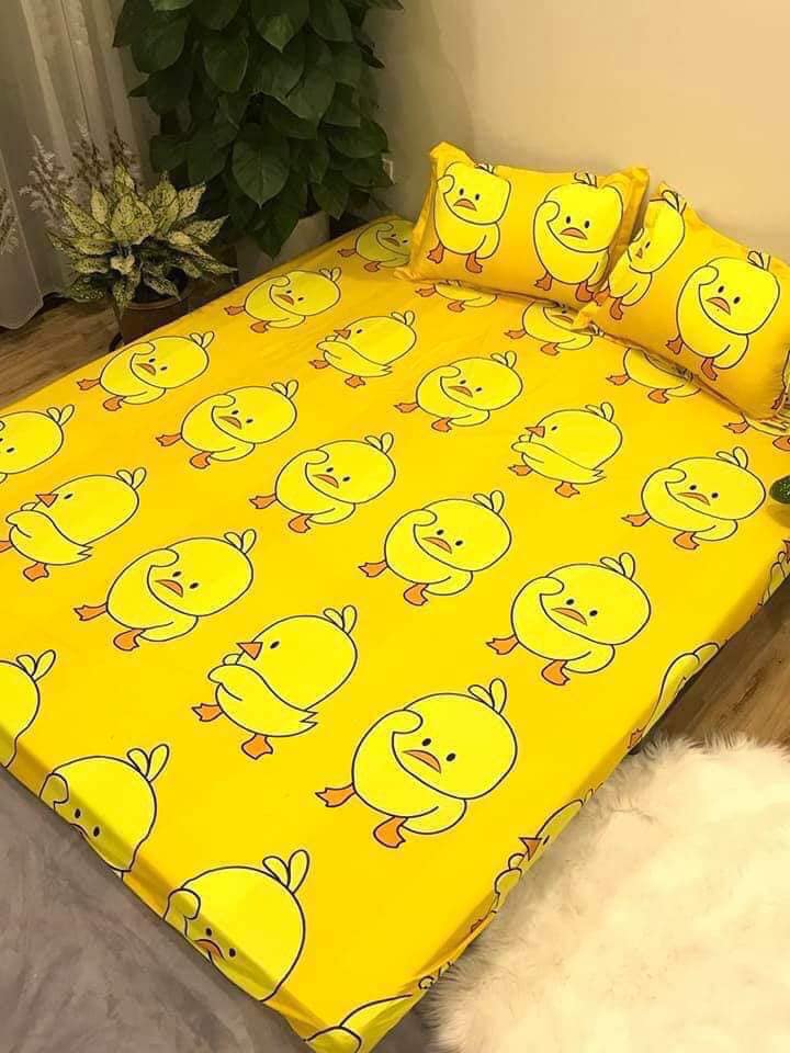 Set 5 món chăn hè ga chun Cotton Poly - Vịt vàng - Tặng kèm 1 móc khóa Houston