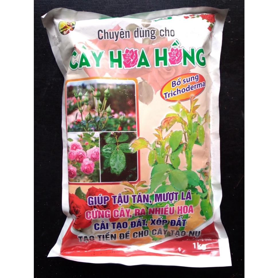 Bộ 3 phân bón ra rể mạnh - Giúp hoa đẹp, to cho cây Hoa Hồng - Gia đoại chuẩn bị ra hoa