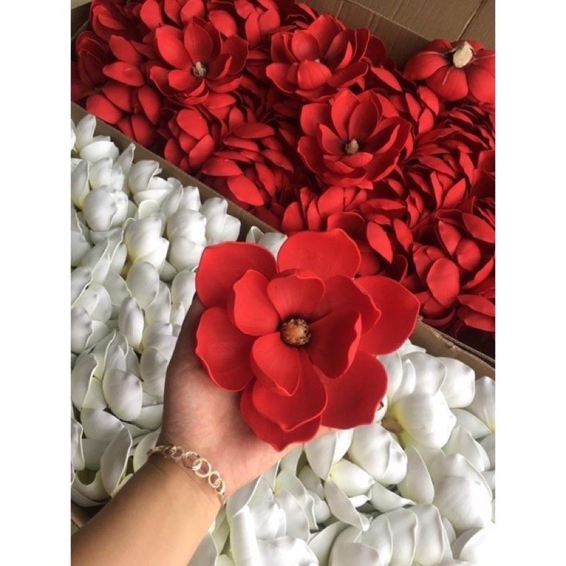 Hoa mộc lan bông đại