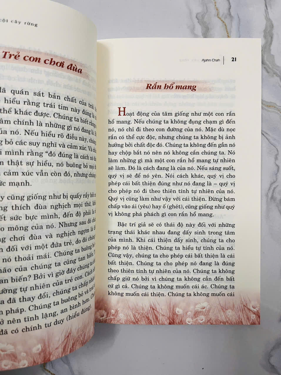 Sách - Một Cội Cây Rừng - (VLA)