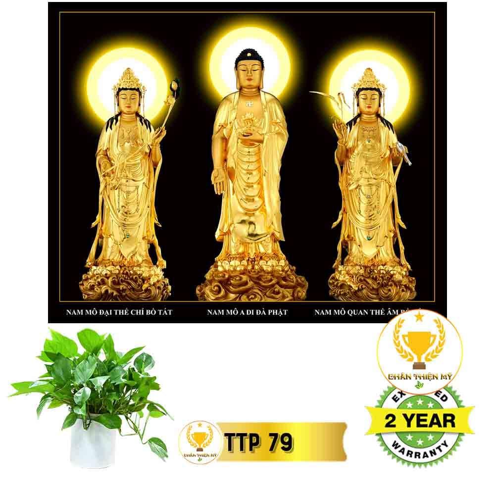 Tranh điện Tam Thế Phật_TTP8