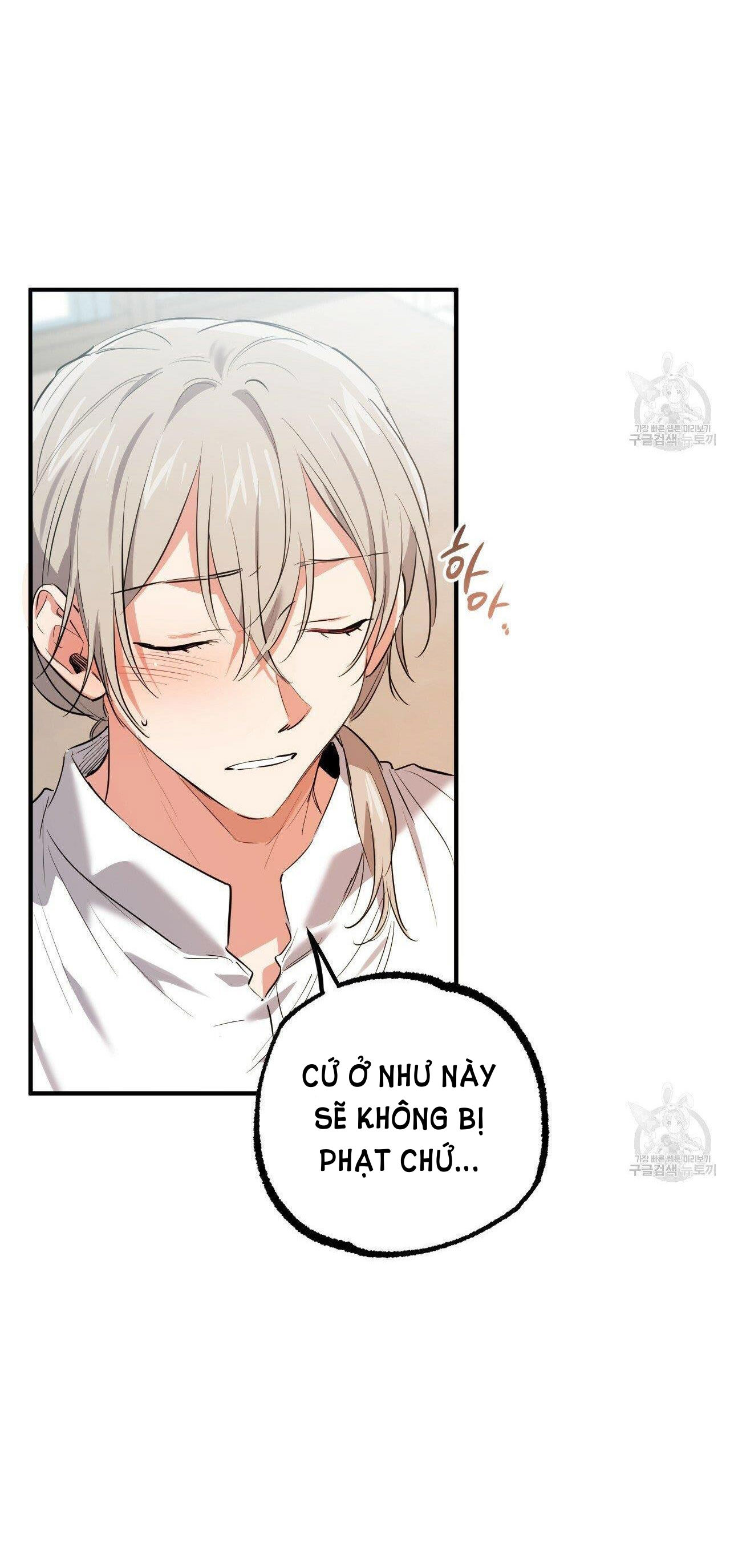 những chú thỏ của hapypy chapter 52.2 10