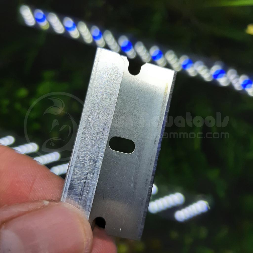 Cây Dao Cạo Làm Sạch Mặt Kính | Cạo Rêu, Cặn Bám Kính Bể Cá Cảnh Thuỷ Sinh