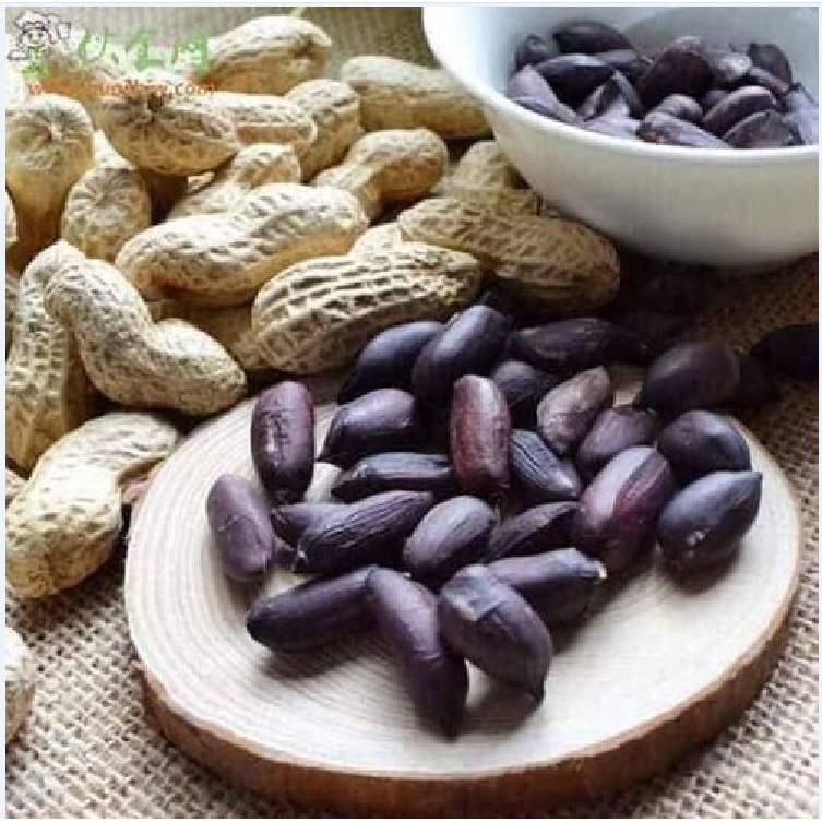Hạt giống lạc đen kokuma - 15gr/gói