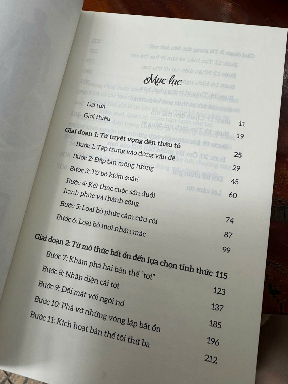 BẢN ĐỒ LÀM CHA MẸ: Các giải pháp từng bước kiến tạo mối quan hệ cha mẹ - con cái tuyệt vời nhất trong sự tỉnh thức - Shefali Tsabary - Ngô Loan dịch - Thái Hà Books