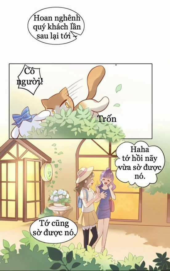 dưới móng vuốt mèo chapter 8 6