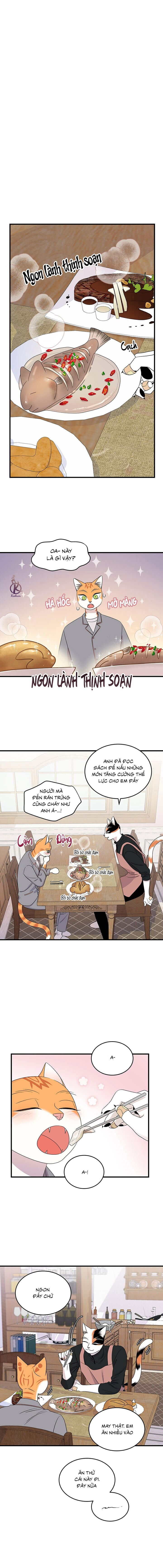 dự án xanh chapter 53 1