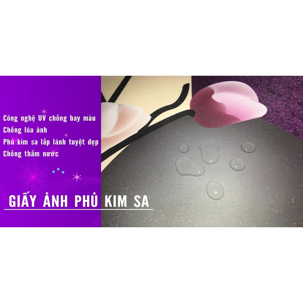 Bộ 5 tấm tranh treo tường Tranh Cá T3M-10922 /Gỗ nhập khẩu Hàn Quốc-Bo viền,chống lóa,ẩm mốc,mối mọt