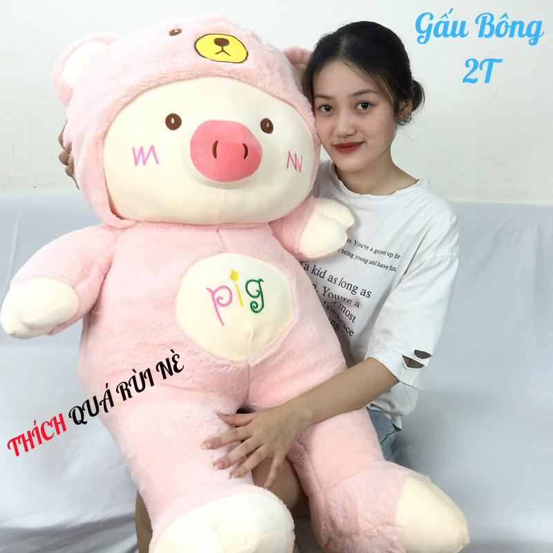 Gấu Bông Gối Ôm Pig Đội Mũ Hai Màu Cosplay 2T Vải Nhung Mềm Mịn Cao Cấp