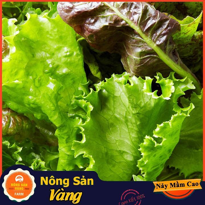 Hạt giống Xà Lách Tím Năng Suất Cao