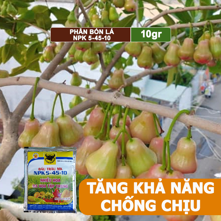 Phân Bón Npk 5-45-10, Greenhome, Đầu Trâu, Gói 10Gr, Phân Bón Kích Ra Hoa, Đậu Trái