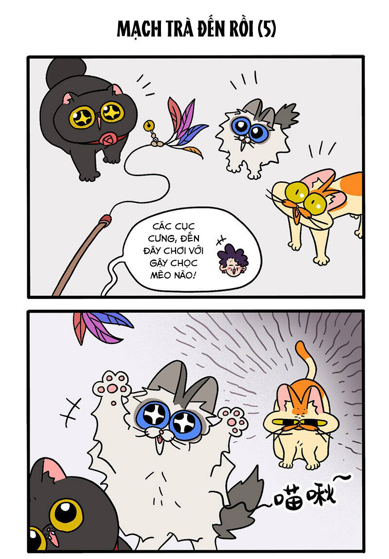 a mãn và mạch trà chapter 35.1 3