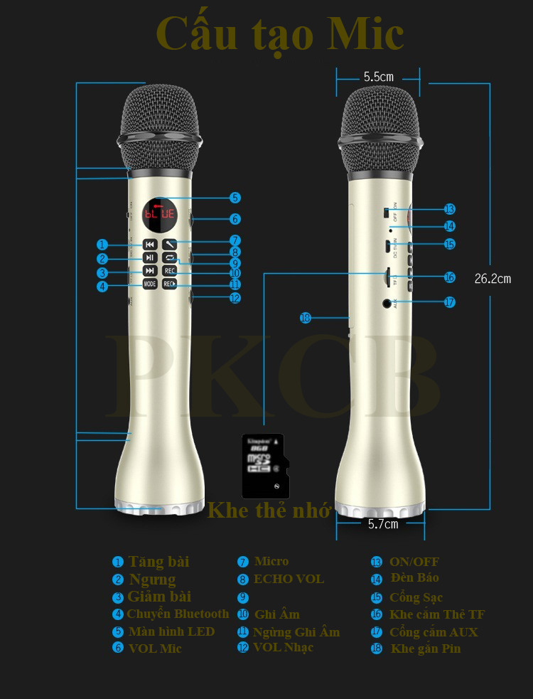 Micro karaoke Bluetooth PF167 L598 3 trong 1