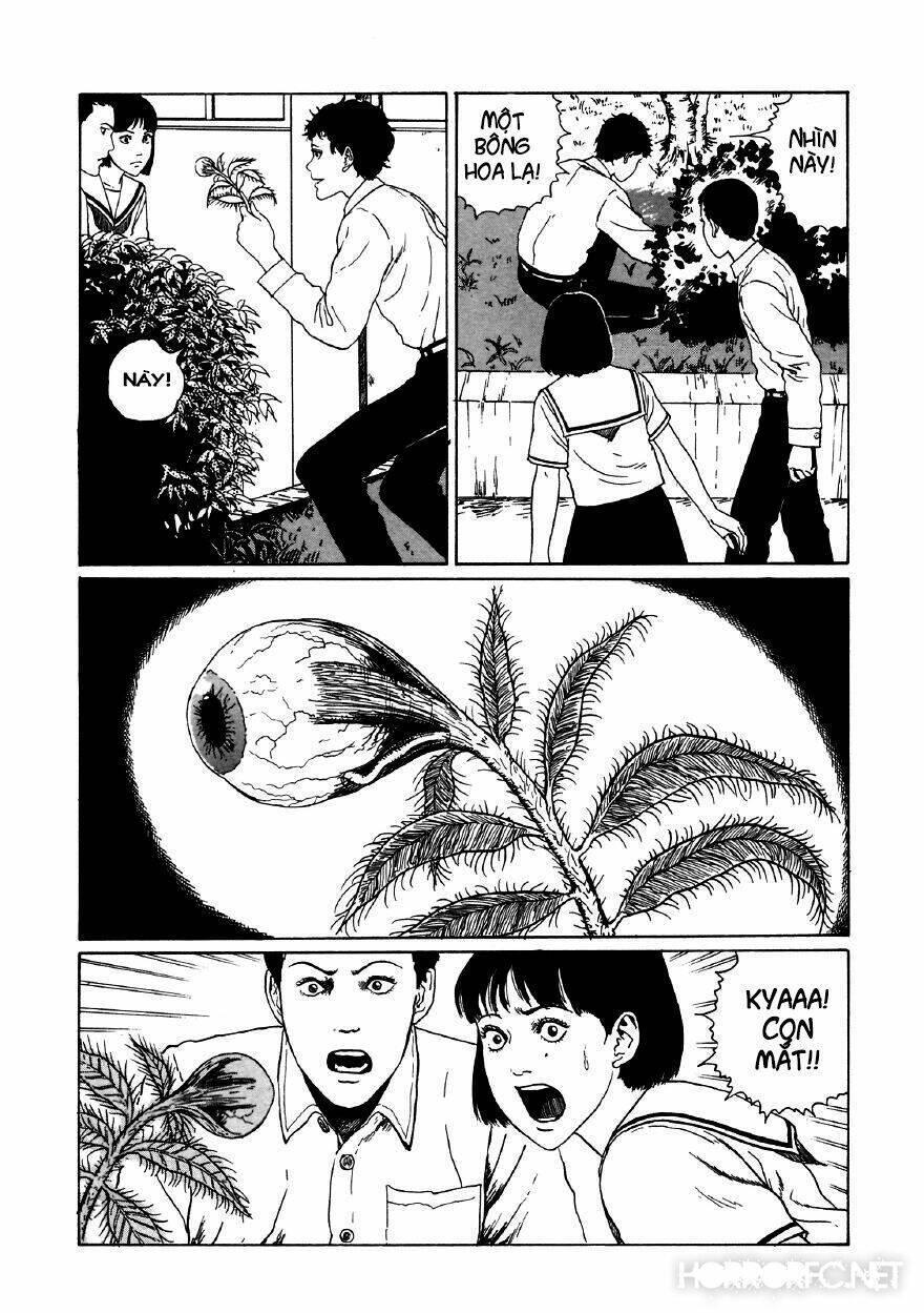 tuyển tập truyện ngắn kinh dị của ito junji chapter 11.5 13