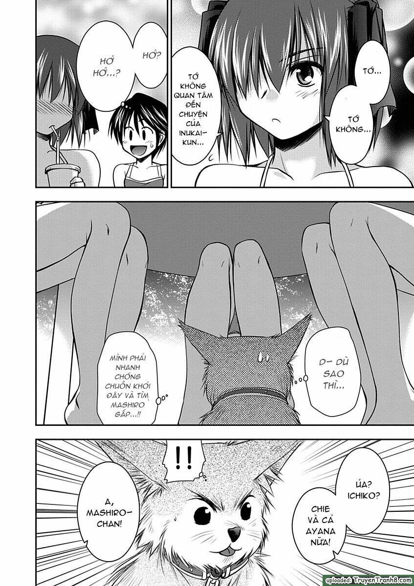 perowan! - hayaku shinasai! goshujinsama chapter 9 14