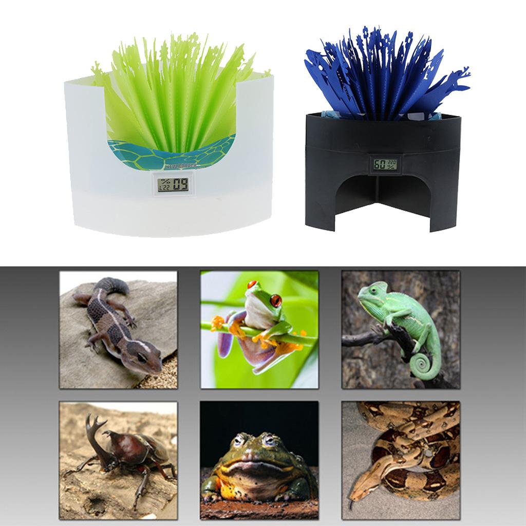 Reptile Hideout Humidifier for Lizard Snake Spider Bearded Dragon blue