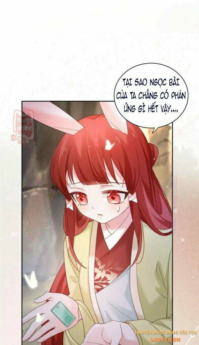 hắc hóa nam chính trực tuyến nuôi thỏ chapter 53 8