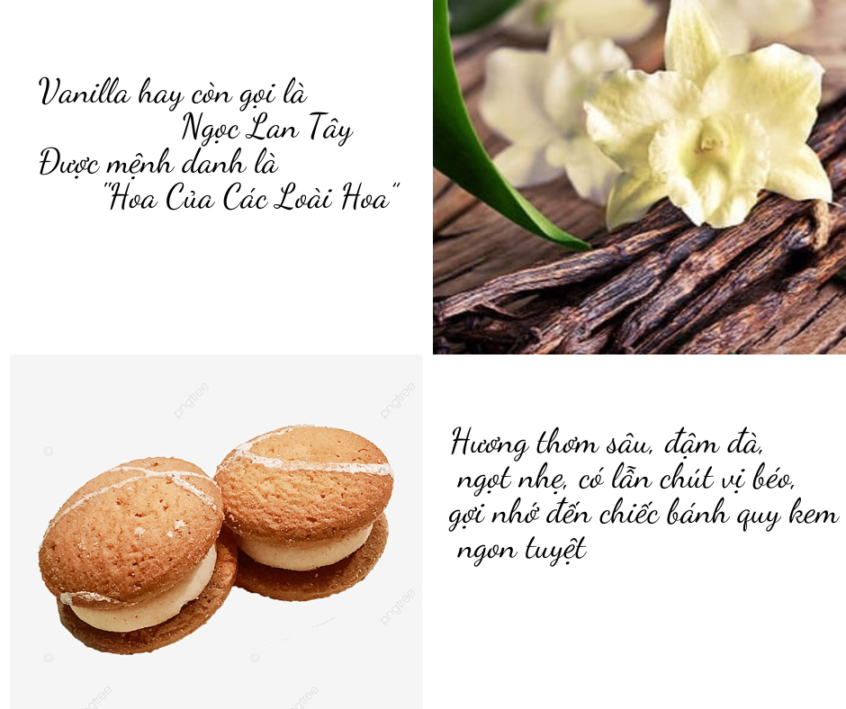 Nến Thơm, Tinh Dầu Coconut-Vanilla, Nến Thơm Phòng, [Ly 300g], Đến Từ Shop R2D, Làm Từ Thành Phần Tự Nhiên, Lành Tính