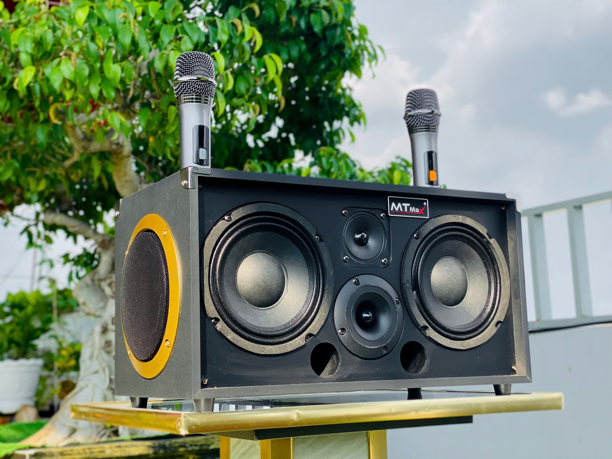 Loa Kéo Xách Tay Nhỏ Gọn Karaoke MT8888 – 400W, 2 Bass 16, Có Mic Không Dây, Giá Rẻ Âm Thanh Hay Mạnh Mẽ hàng nhập khẩu