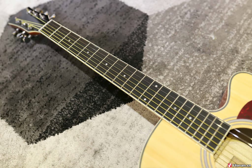 Đàn Guitar Acoustic CHARD EA20C