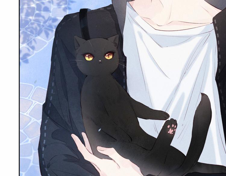 nỗi buồn của hoa cẩm tú cầu chapter 51 39