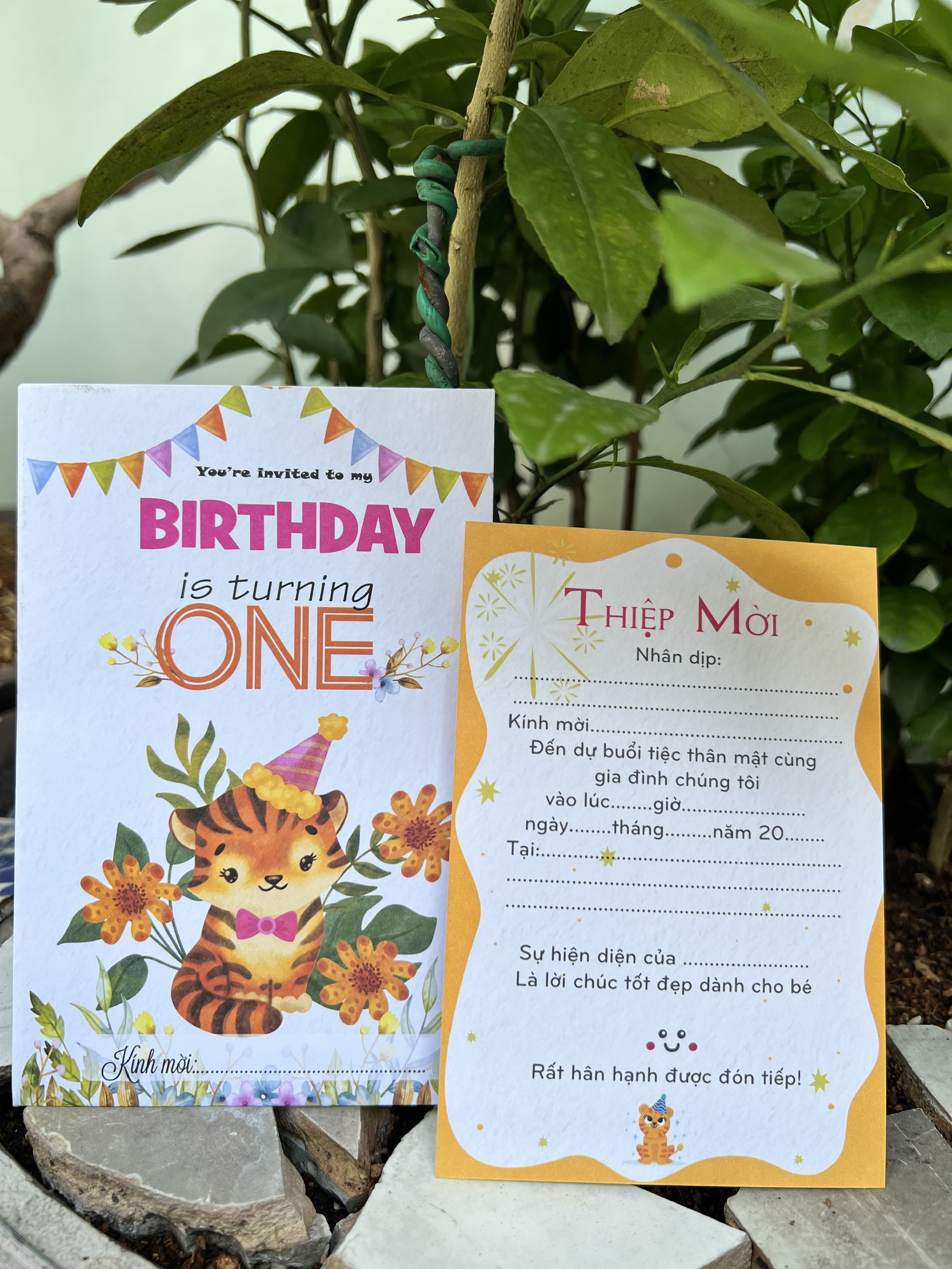Combo 20 thiệp mời thôi nôi bé tuổi cọp gái