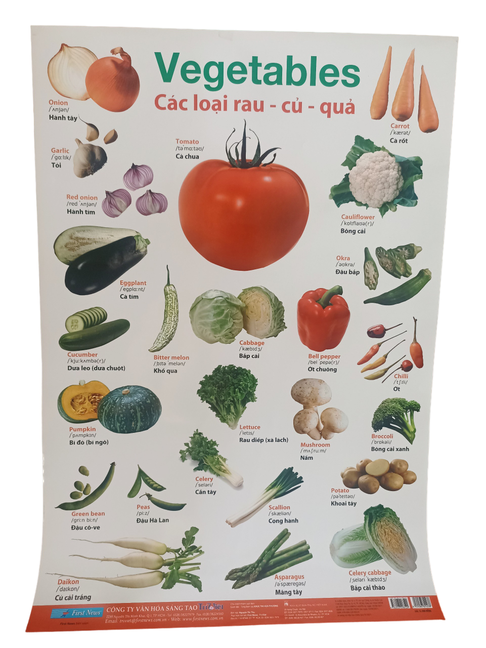 POSTER Lớn - Các Loại Rau - Củ - Quả