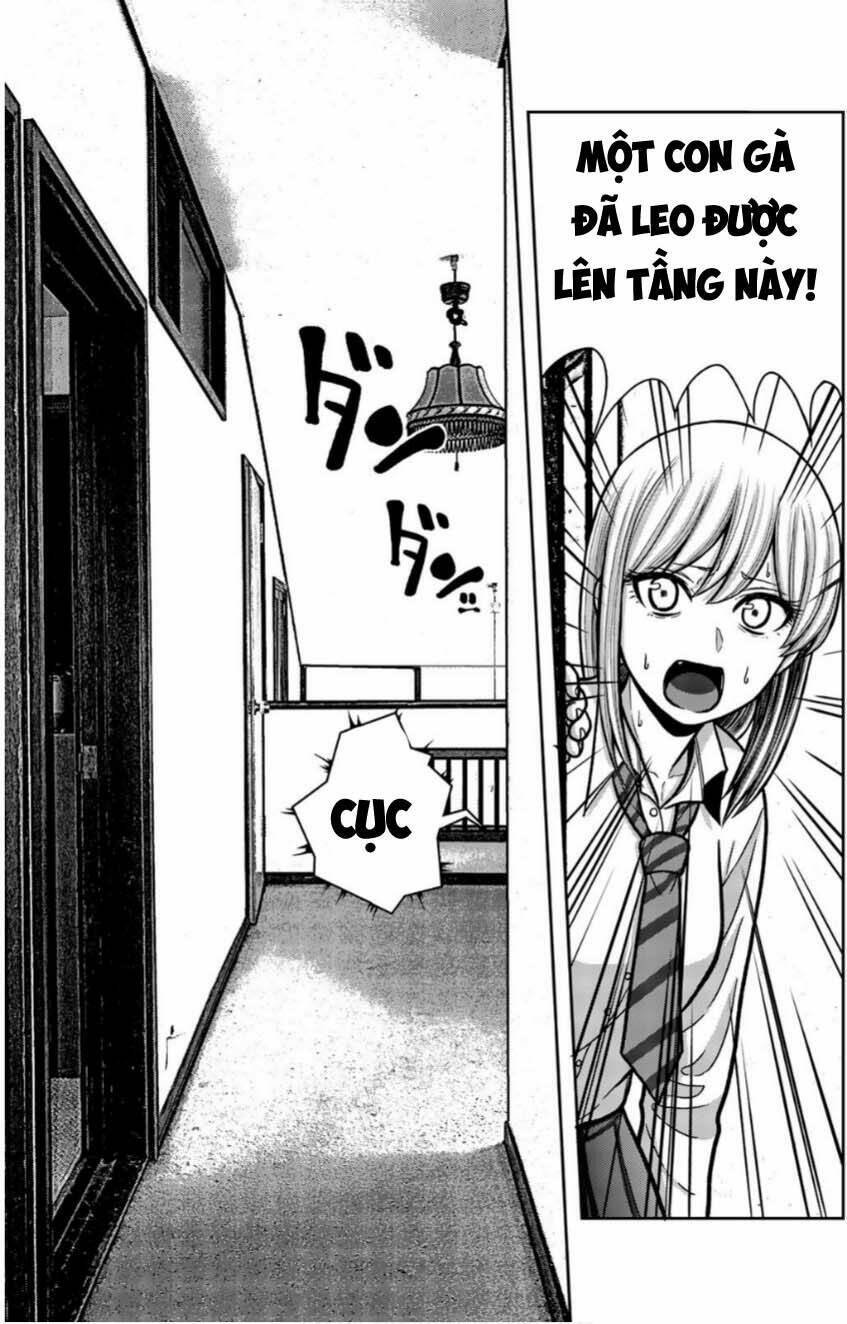 tiếng gáy sát thủ chapter 12 15