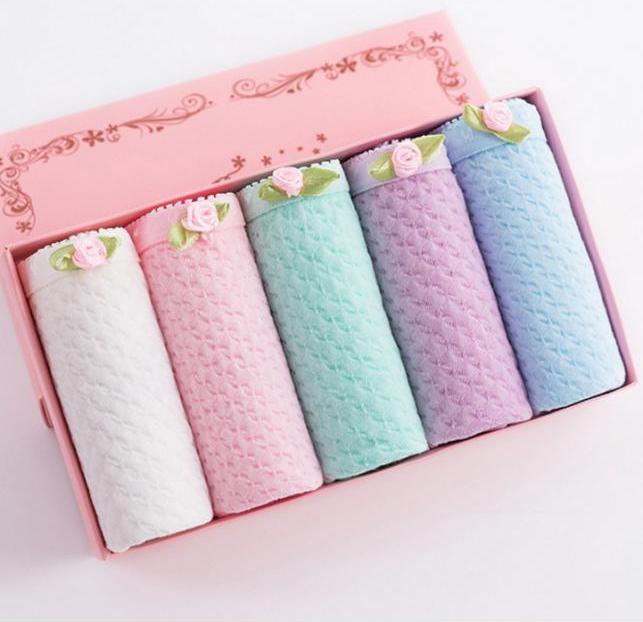 Combo 5 quần lót nữ Cotton QL 8108-1