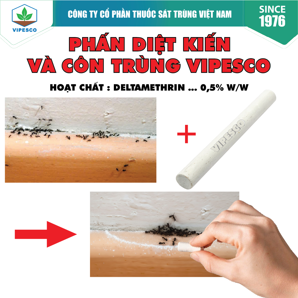 PHẤN DIỆT KIẾN VÀ CÔN TRÙNG VIPESCO