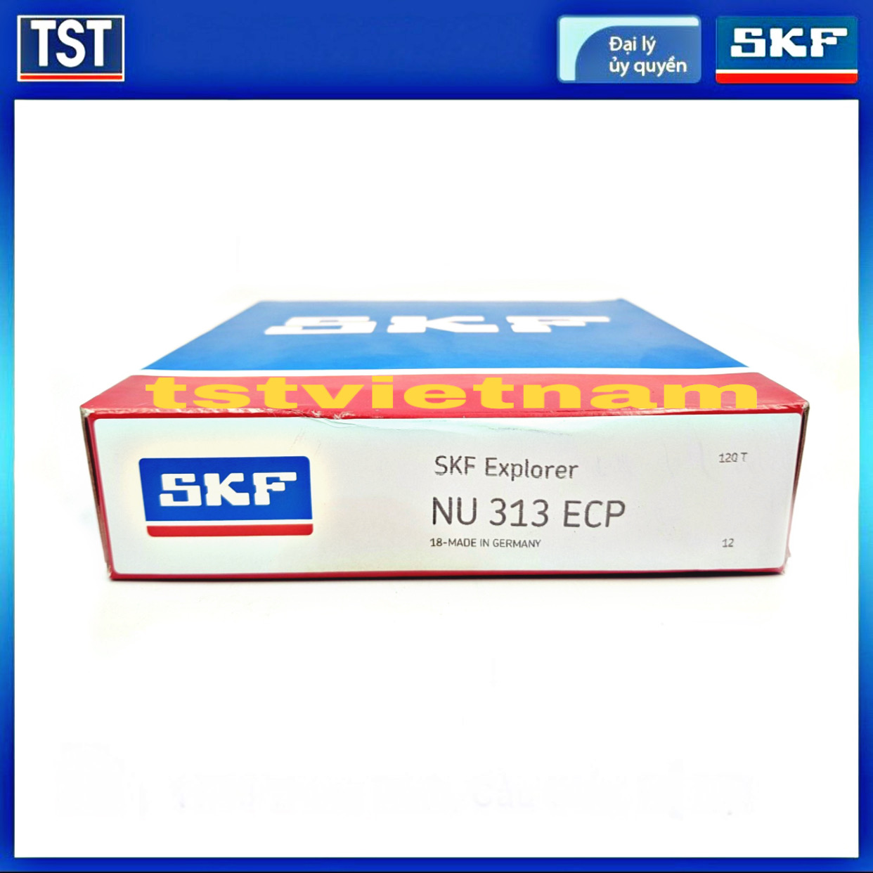 Vòng bi SKF NU 313 ECP