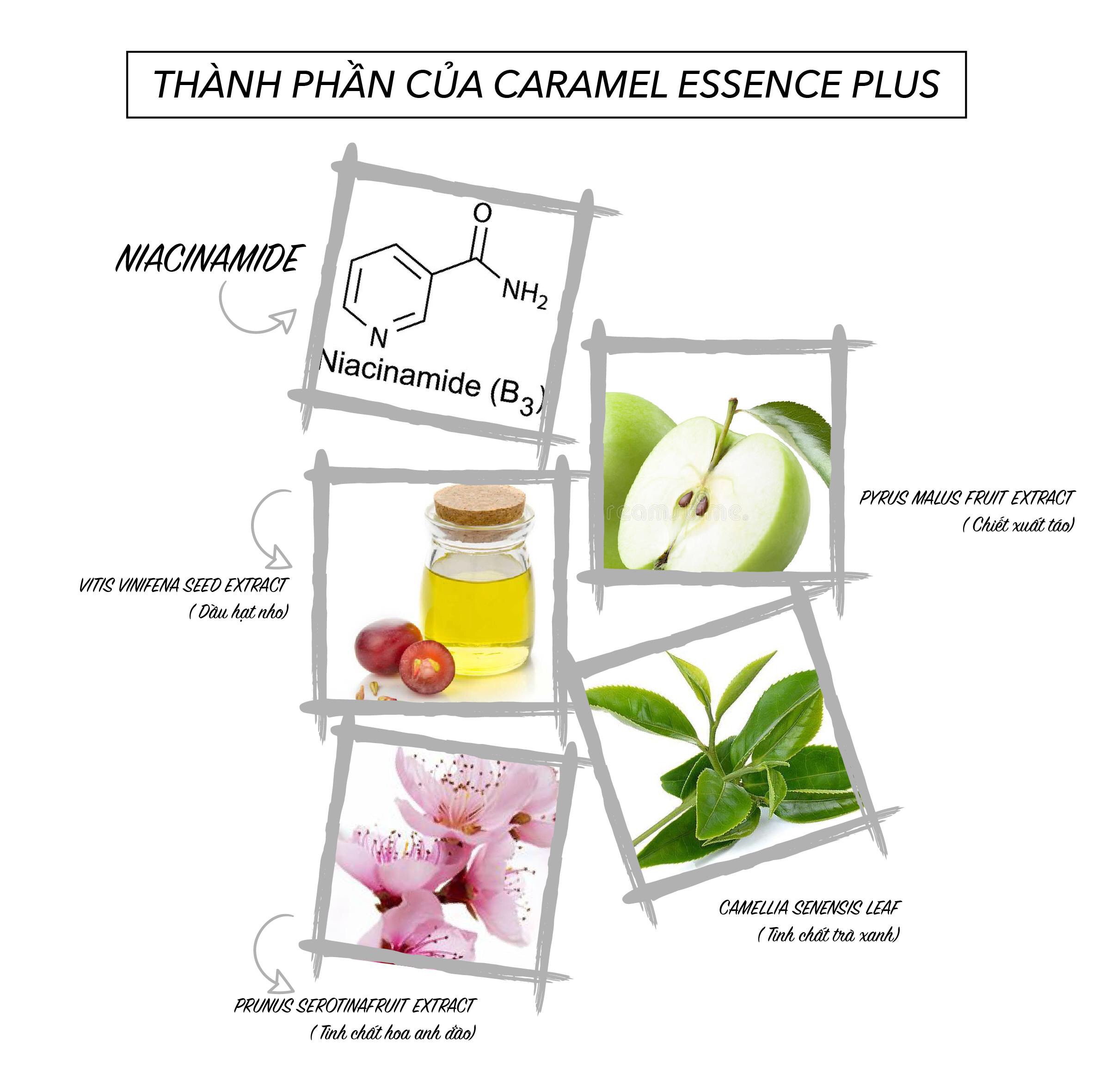 Tinh chất Hỗ Trợ Trị mụn, kháng viêm,se khít lỗ chân lông Caramel Essence Plus 10ml