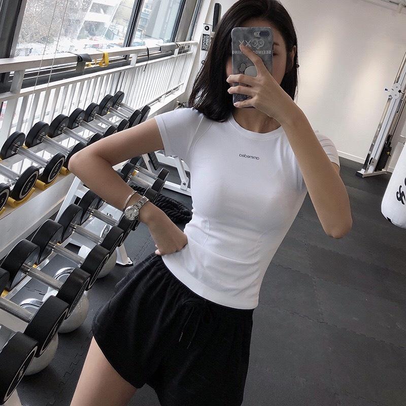 Áo tập Gym, Yoga, Zumba Nữ Dệt Kim thể thao, cộc tay co dãn tốt Cao Cấp