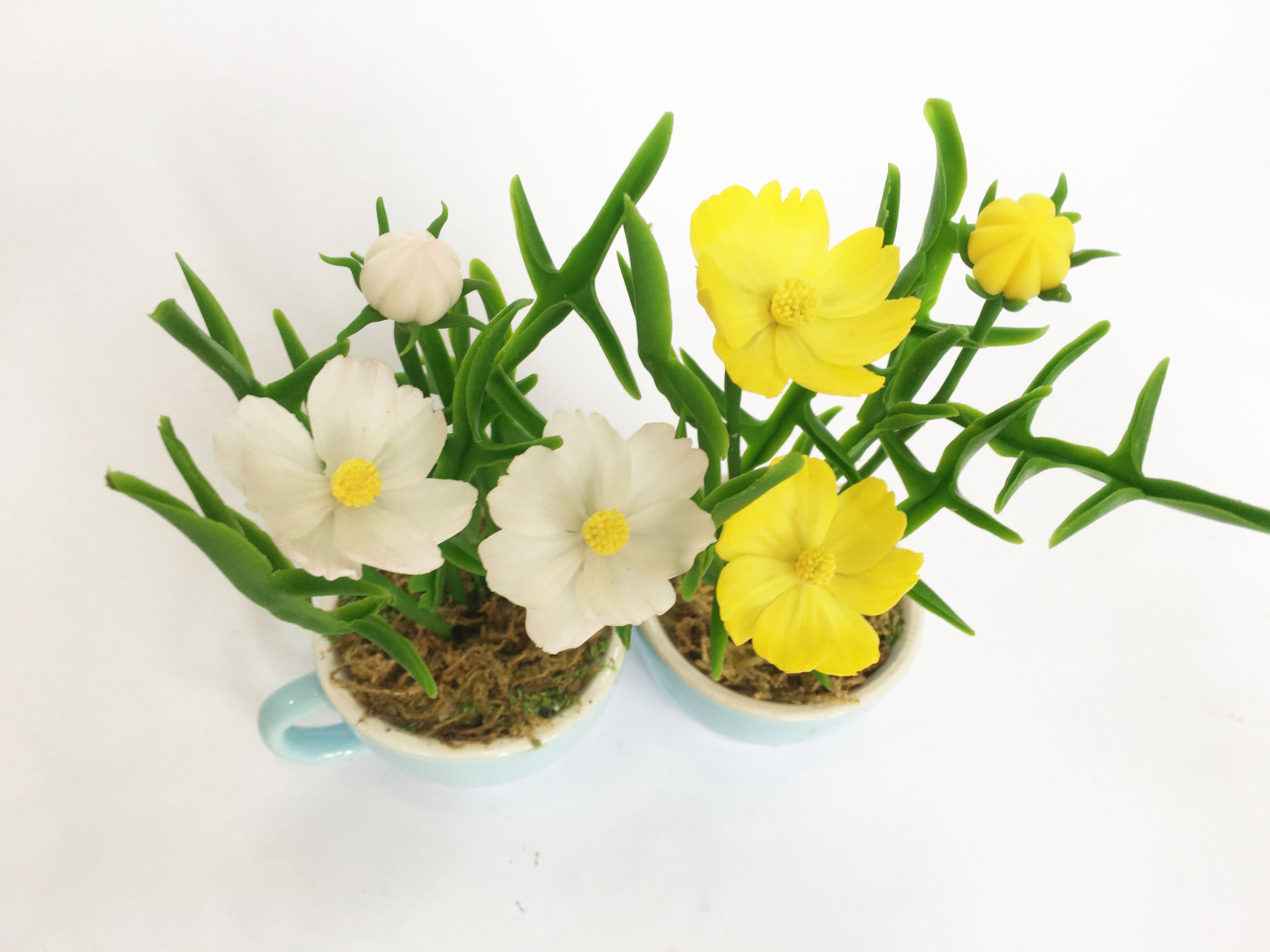 Chậu hoa đất sét mini- Bụi sao nhái trong cốc - Quà tặng trang trí handmade