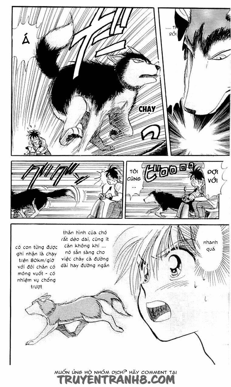 wild half chapter 6.5 12