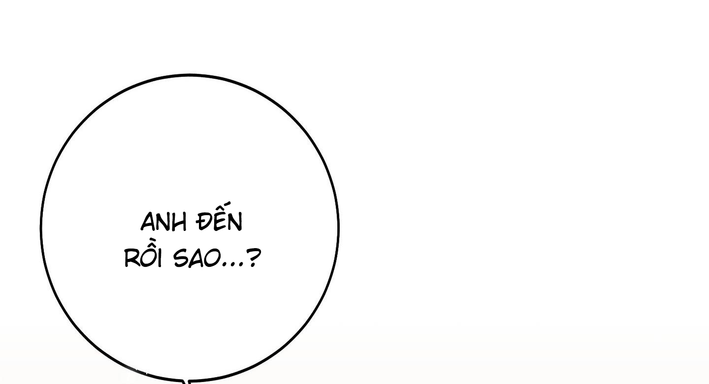 lãng mạn giả dối chapter 26 72