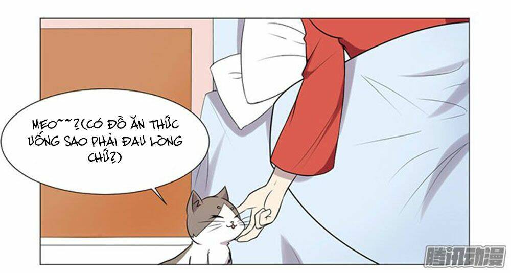 hai chú mèo totem chapter 37 66
