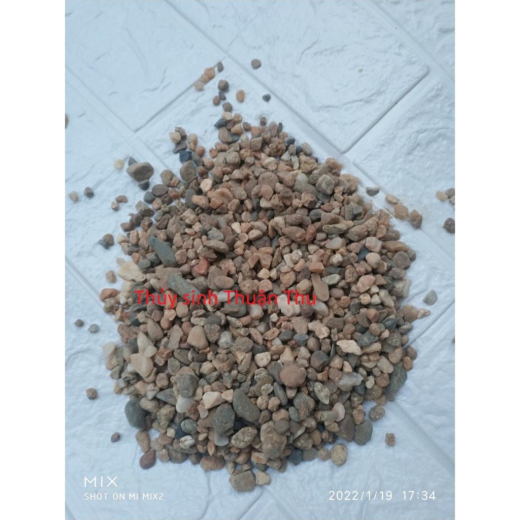 Sạn suối - sỏi suối trang trí bể cá, bể thủy sinh