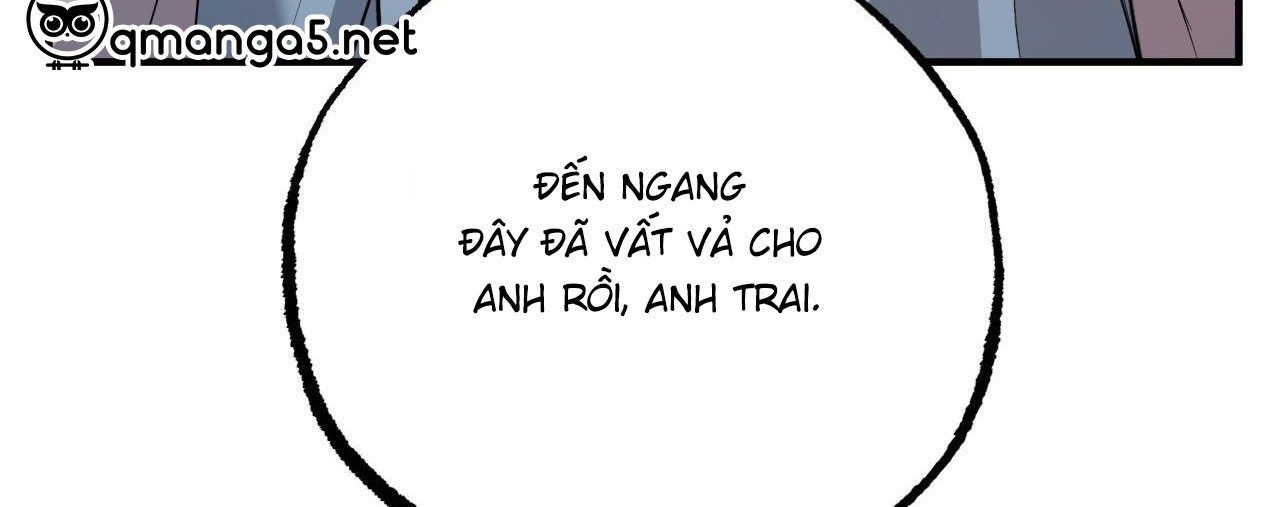 những chú thỏ của hapypy chapter 61 268