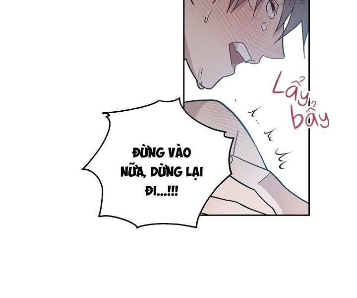 chàng tuấn mã của tôi chapter 38 71