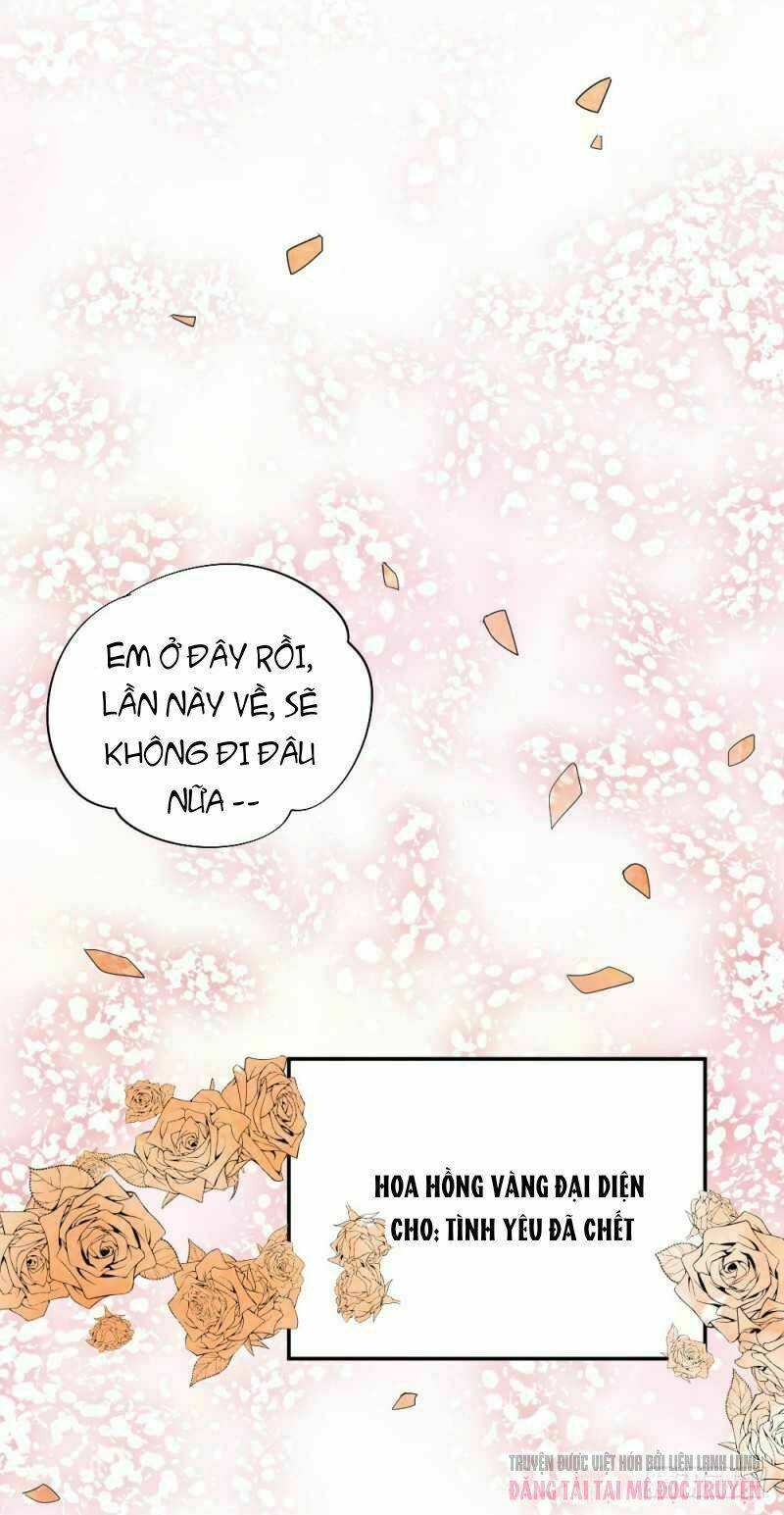 phi hành tinh cầu bay chapter 1 5