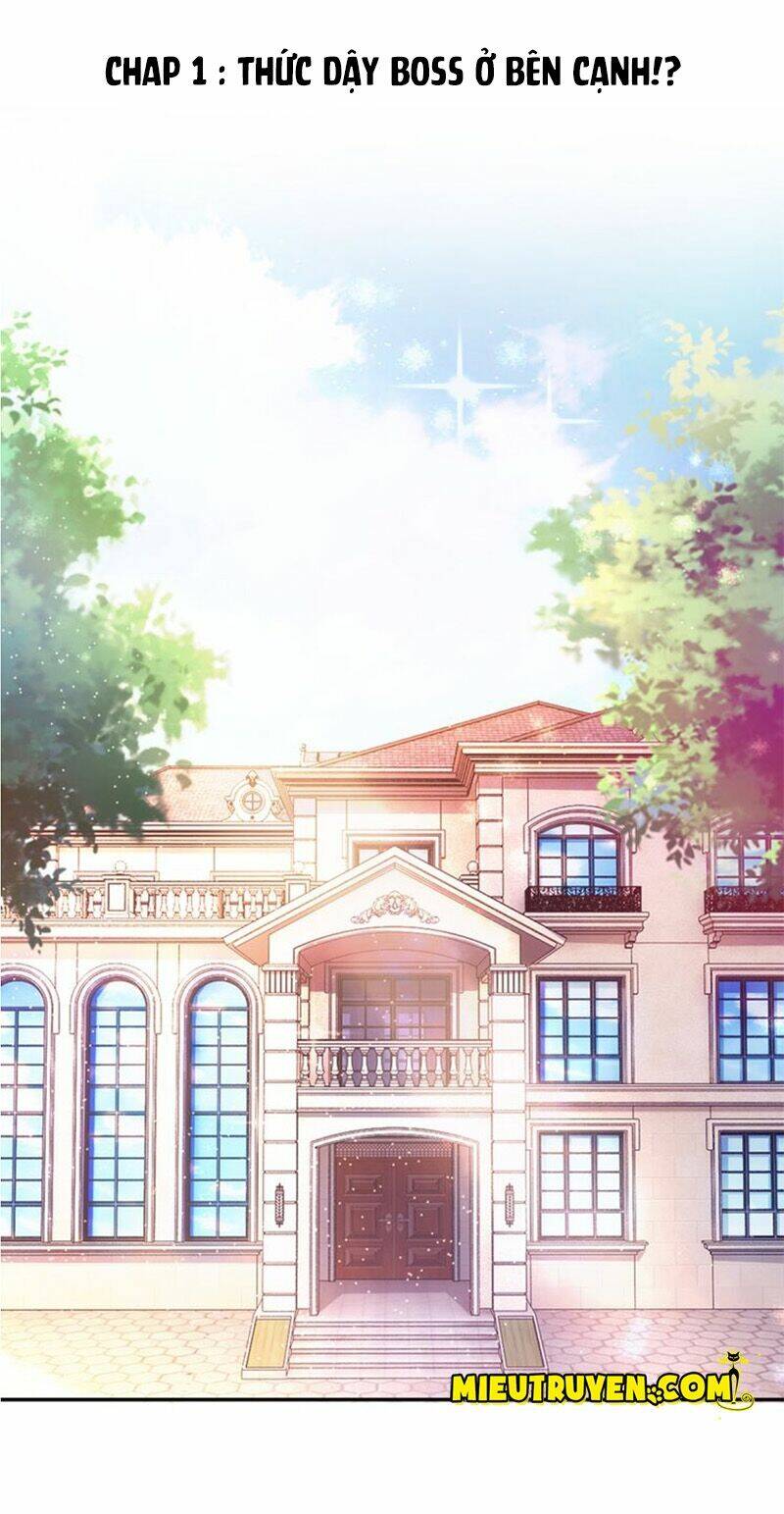 thú cưng độc quyền của boss chapter 1 2