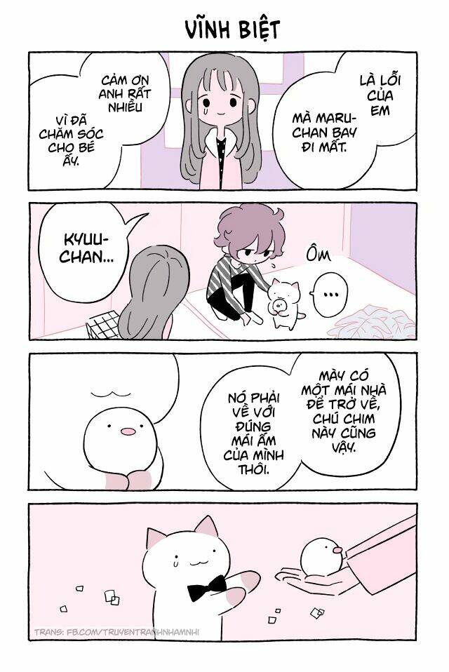 chú mèo kỳ diệu kyuu-chan chapter 548 2