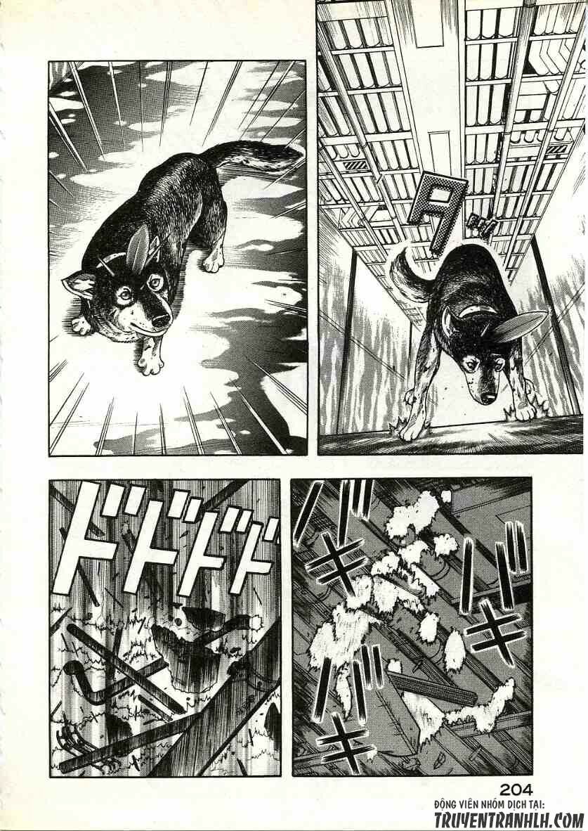 inugami chapter 14 39