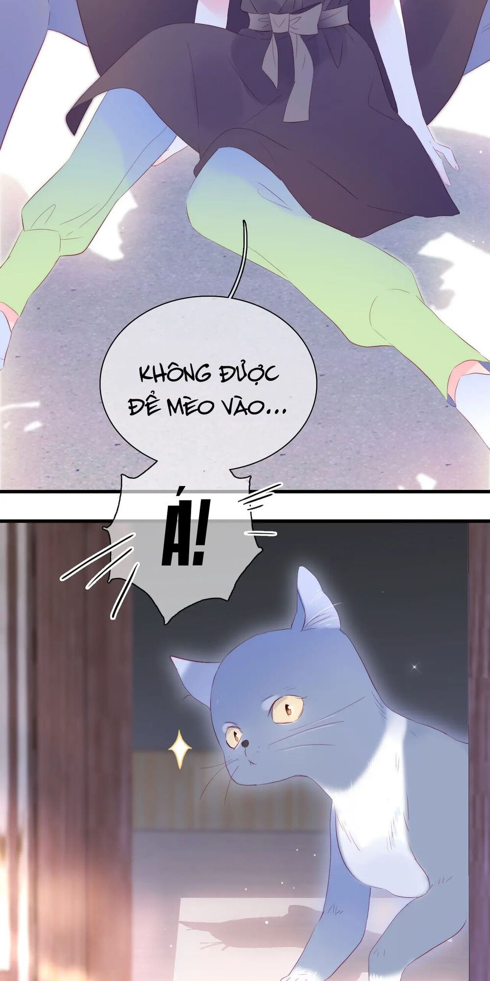 chạy trốn cùng con nhím chapter 34 37