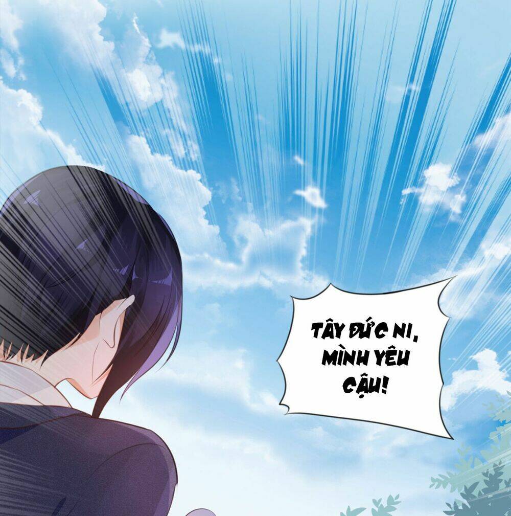 cô bé lọ lem của tôi không ăn chay chapter 1 29