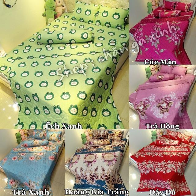 Bộ chăn hè ga gối tặng 1 vỏ gối ôm poly cotton set 5 món