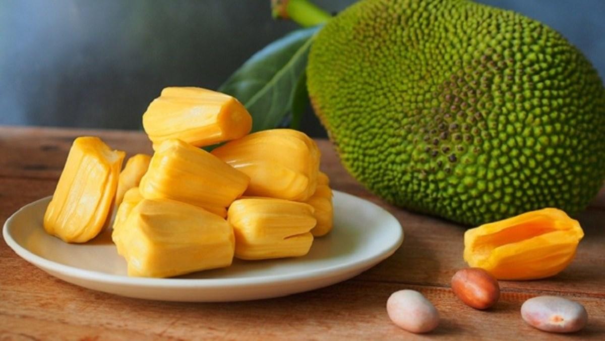 Cây giống mít Thái DA XANH 9 THÁNG ra trái múi giòn ngọt năng suất cao