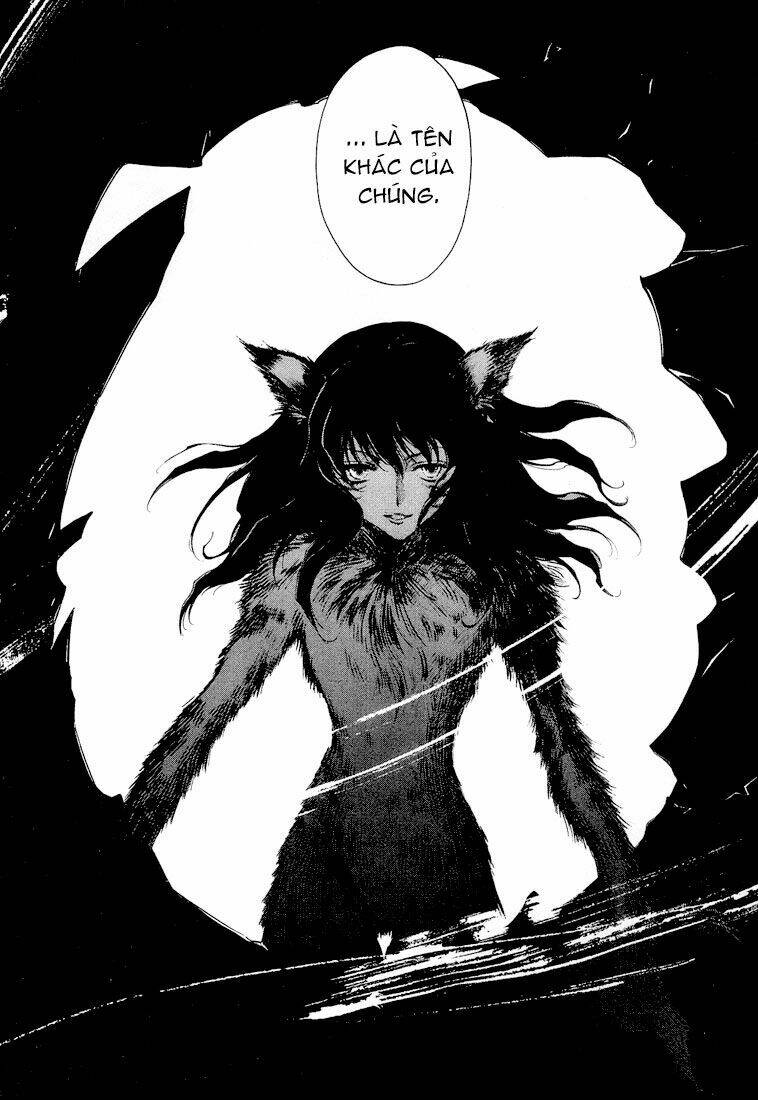 absorb; ability chapter 1 43